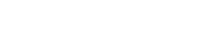 connect company logo